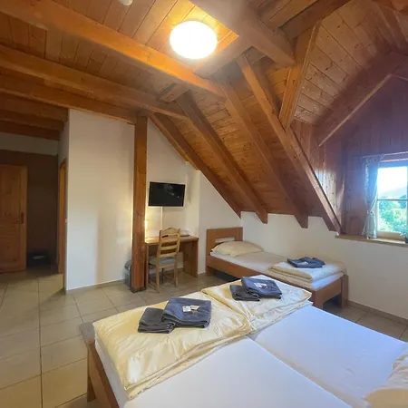 Centrum Slezska Harta Guest house *