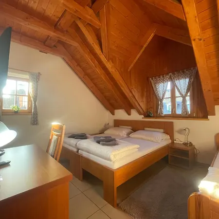 Centrum Slezska Harta Guest house *
