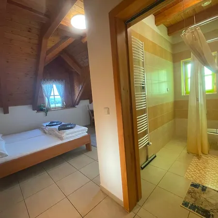 Centrum Slezska Harta Guest house Razova