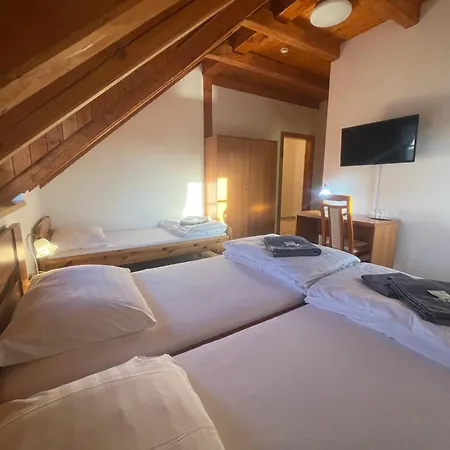 Centrum Slezska Harta Guest house *
